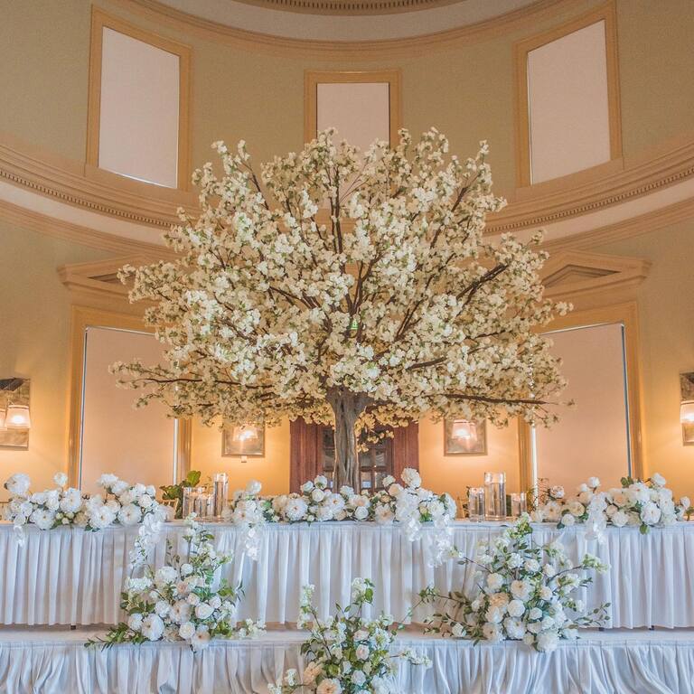 The Blossom Tree Company