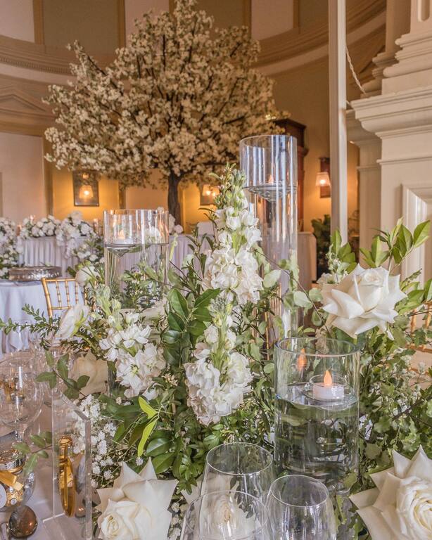 The Blossom Tree Company