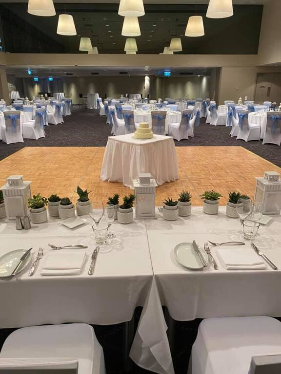 Designer Chair Covers