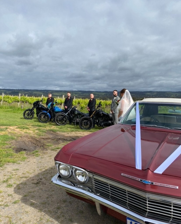 Impressive Impalas of Adelaide