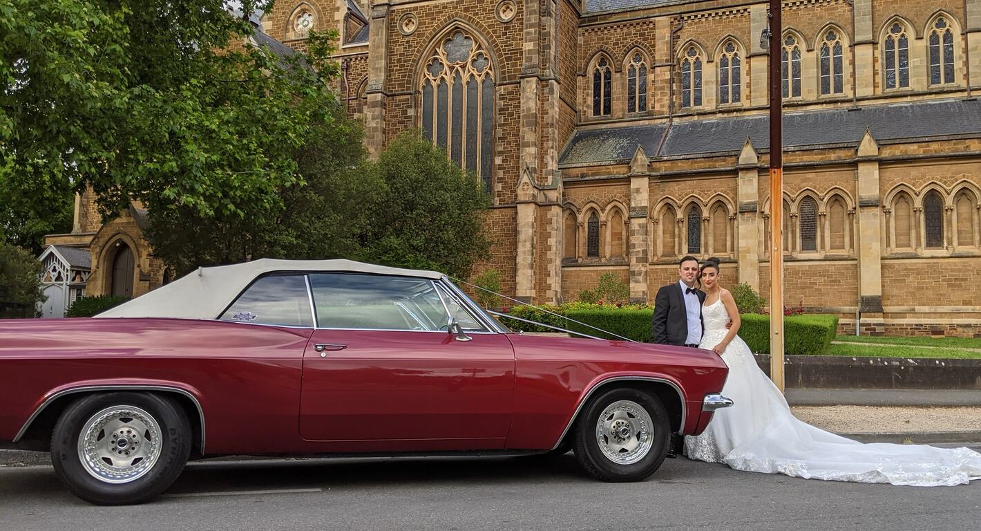 Impressive Impalas of Adelaide