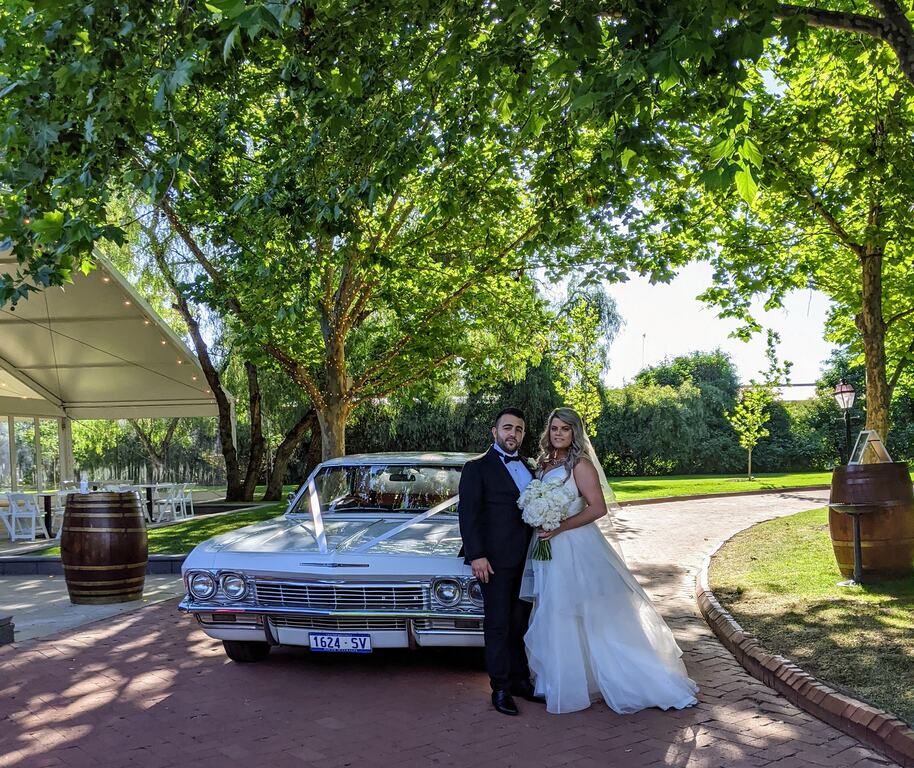 Impressive Impalas of Adelaide