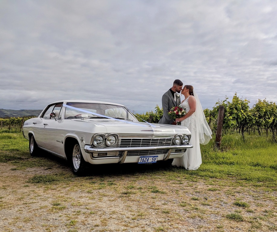 Impressive Impalas of Adelaide