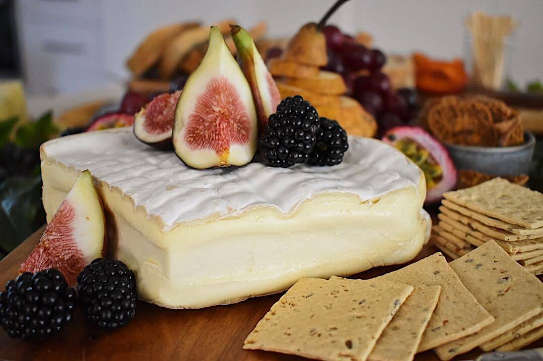 The Vine and the Farmer