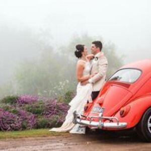 Kool Kombi and Bug Hire