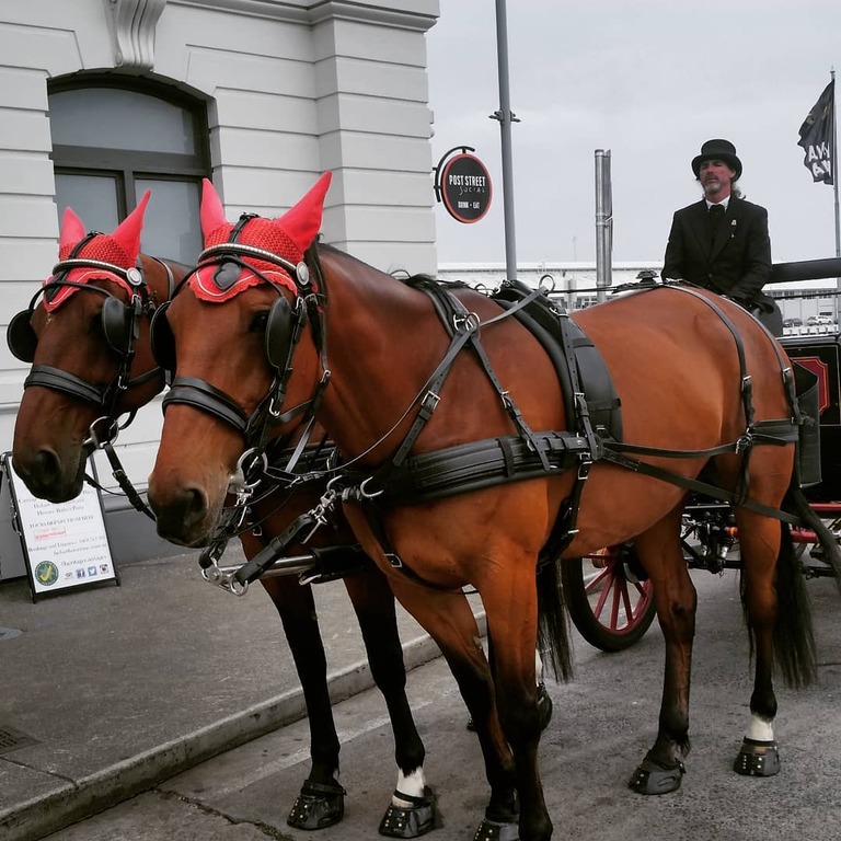 Heritage Horse Drawn Carriages Rental Car Hobart