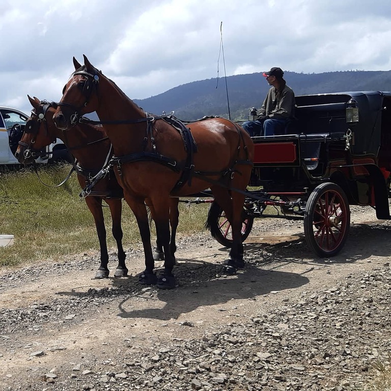Heritage Horse Drawn Carriages Rental Car Hobart
