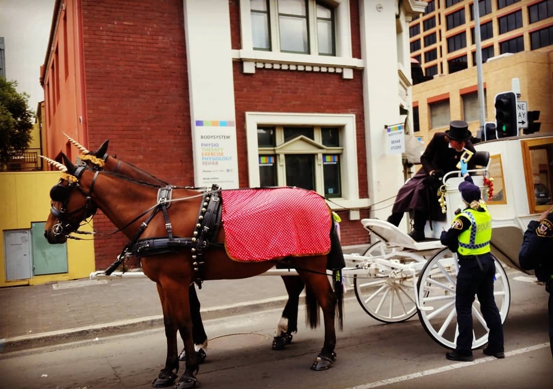 Heritage Horse Drawn Carriages Rental Car Hobart