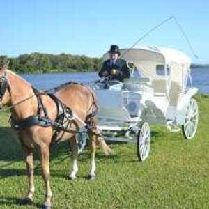 Northern Rivers Carriage Occasions