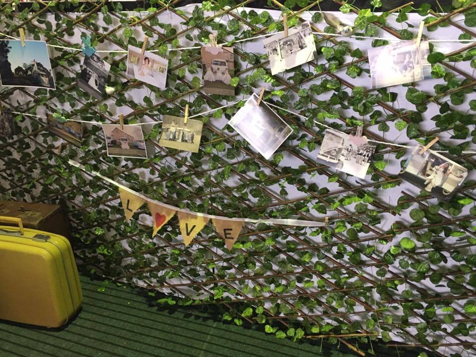 Hunter Valley Vee Dubs