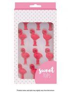 Complete Cake Decorating Supplies