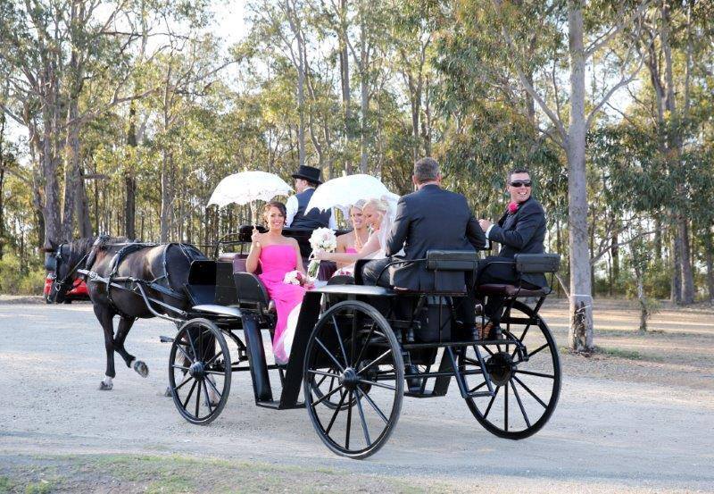 Hunter Valley Wedding Carriages