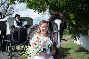 Hunter Valley Wedding Carriages