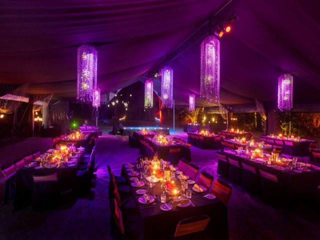 Flames of the forest