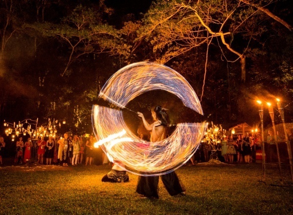 Flames of the forest