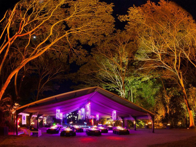 Flames of the forest