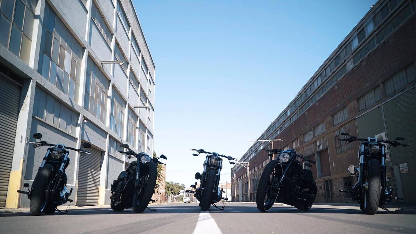 Absolute Affordable Harley Escorts