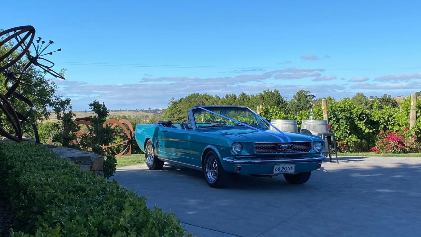 True Blue Wedding Cars