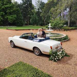 Waratah Park Limousines