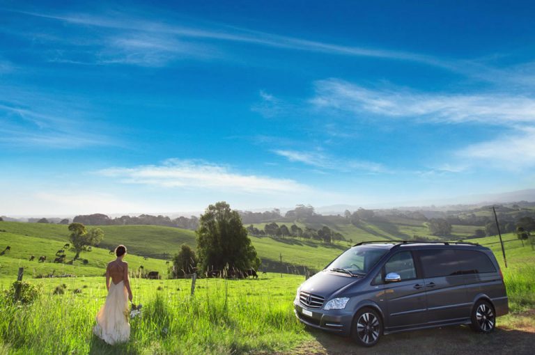 Steve's Hummer Limo Hire