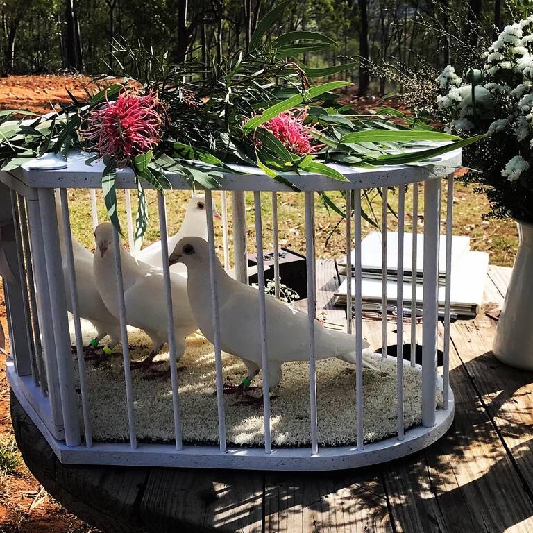 Karen Cook Civil Celebrant