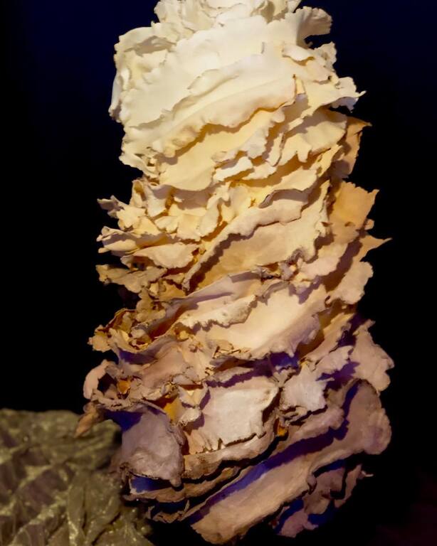 Breearn Murray Cakes