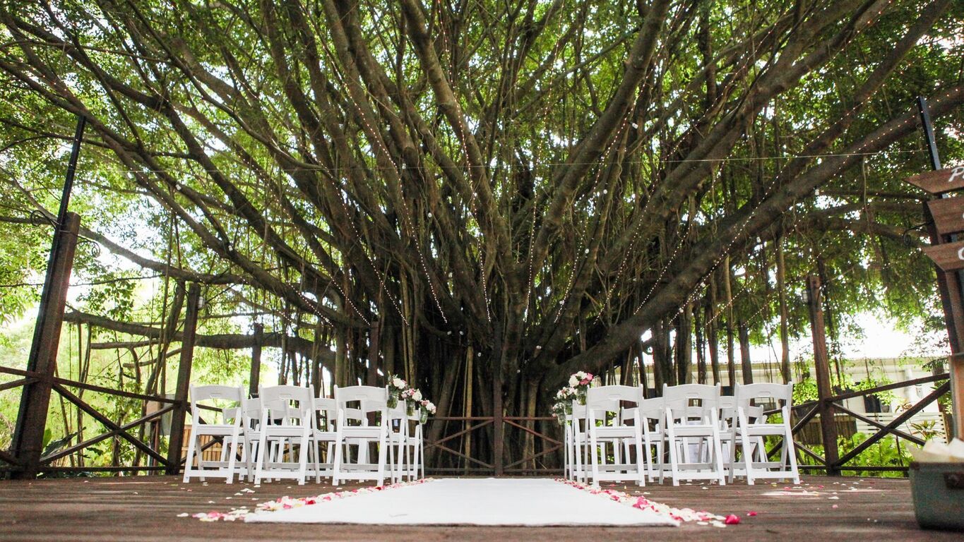 Hotel Grand Chancellor Palm Cove