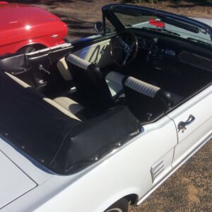 Central Coast Mustang