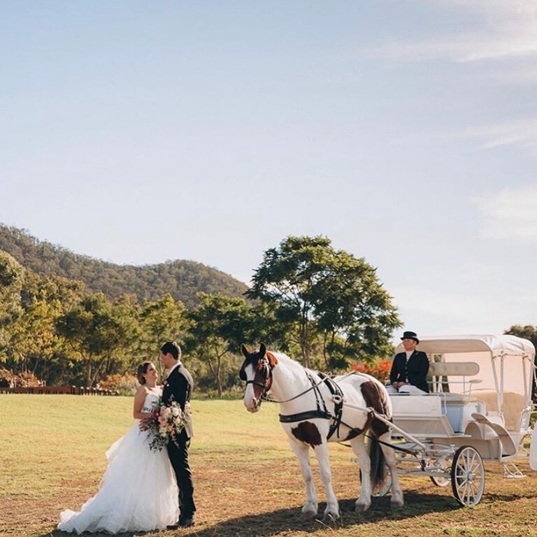 Prestige Horse Carriages