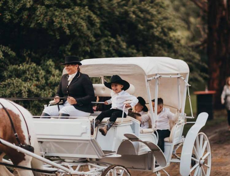 Prestige Horse Carriages