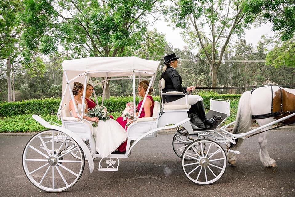 Prestige Horse Carriages