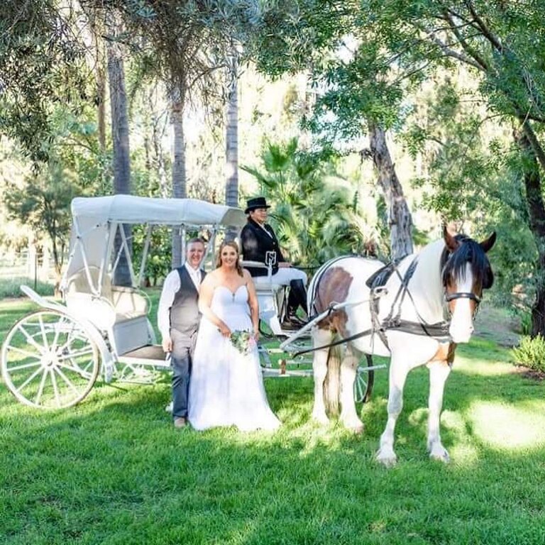 Prestige Horse Carriages