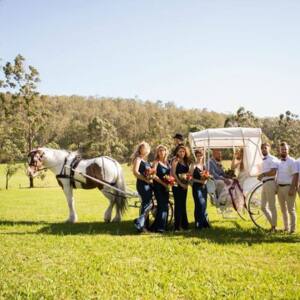 Prestige Horse Carriages