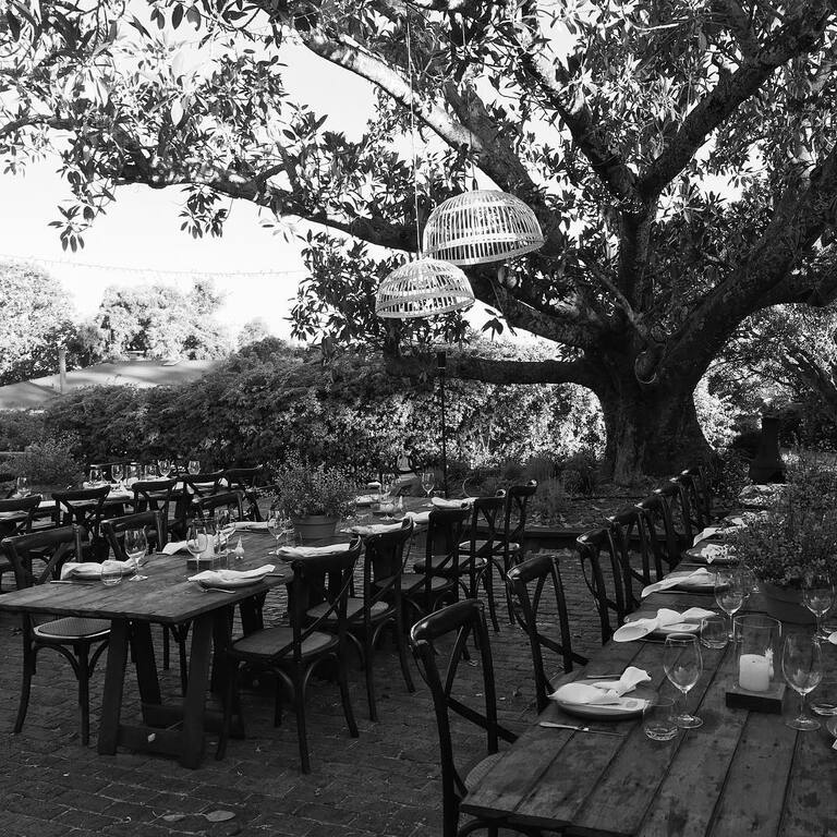 Willow Tree Creative Services