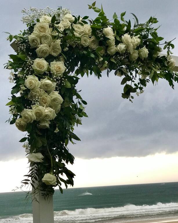 Willow Tree Creative Services