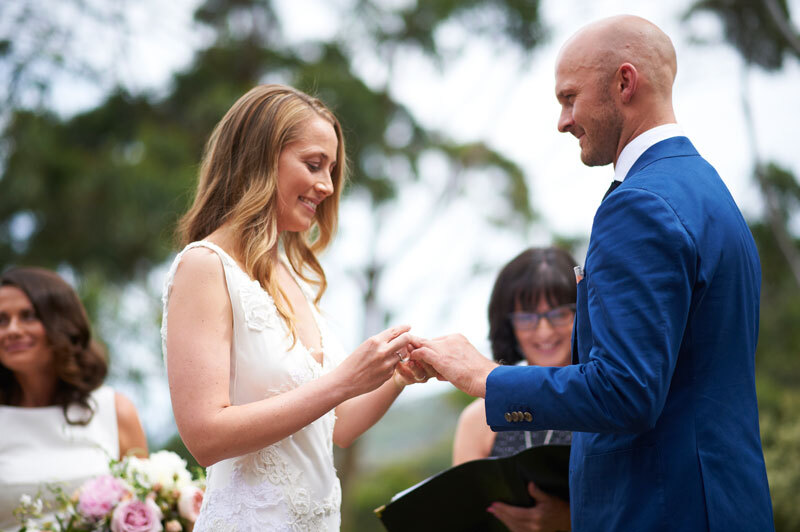 Celebrations by Rosalie