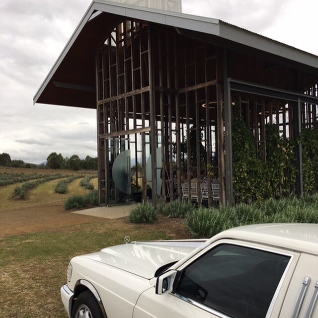 Tic Tac Tours and Our Wedding Cars