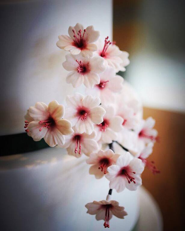 Lily May Cake design