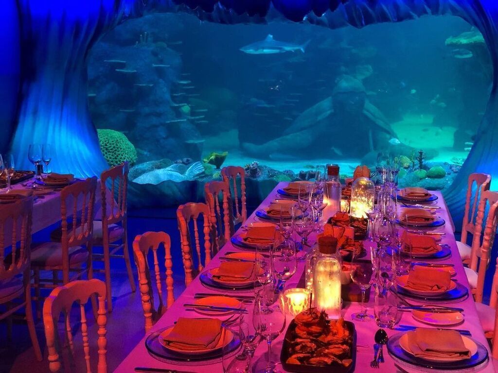 Sealife Sydney Aquarium