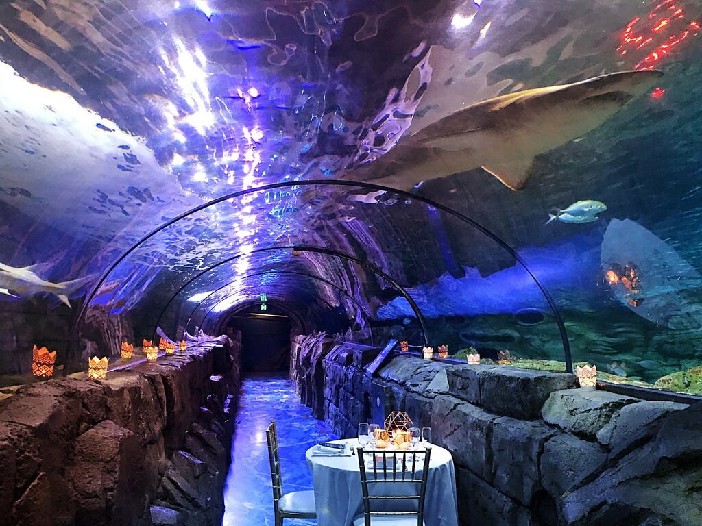 Sealife Sydney Aquarium