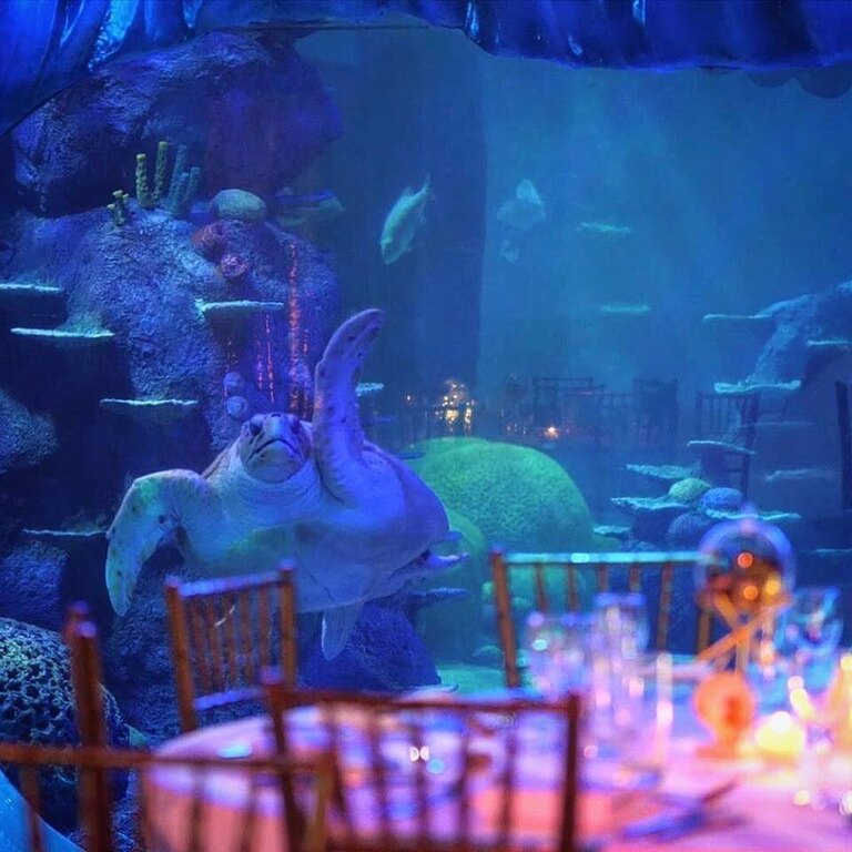 Sealife Sydney Aquarium