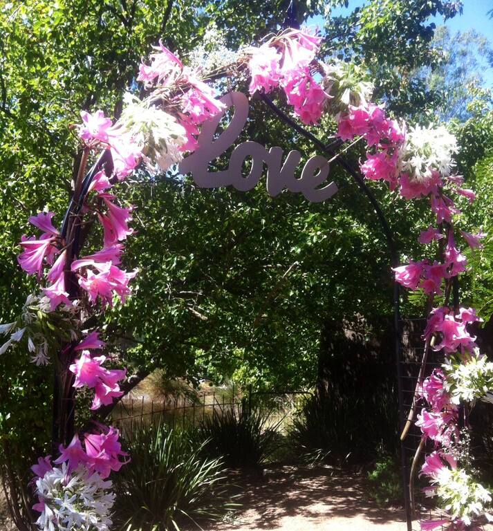 Dark Horse Receptions