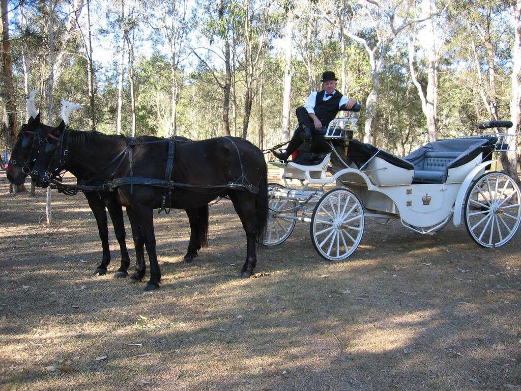 Champagne Wedding Carriages Champagne