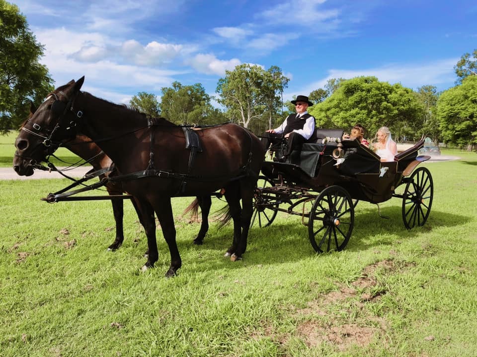 Champagne Wedding Carriages Champagne