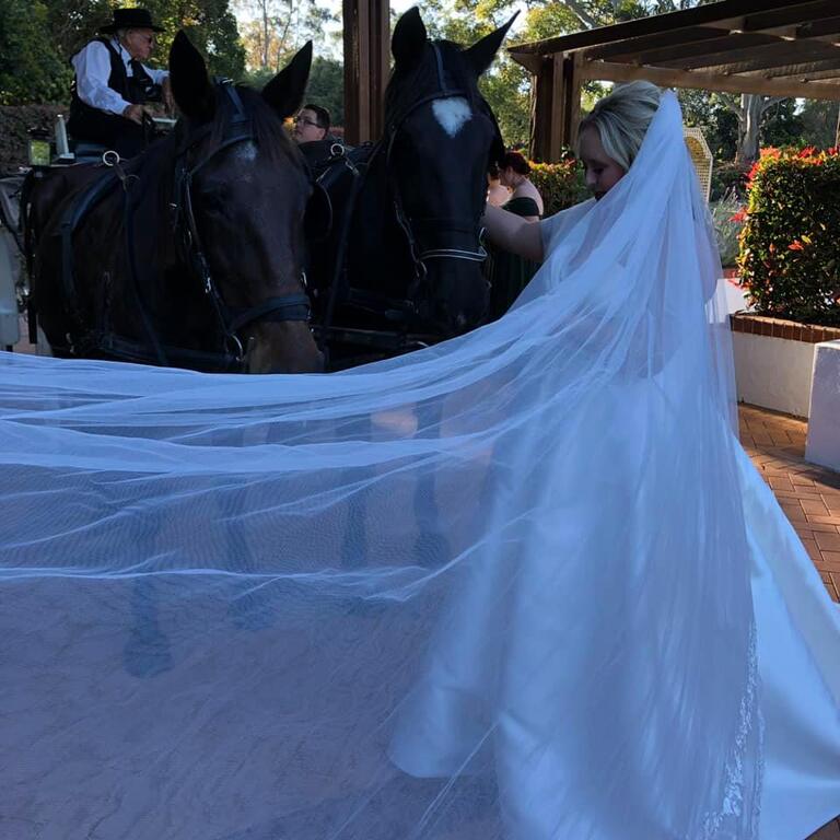 Champagne Wedding Carriages Champagne