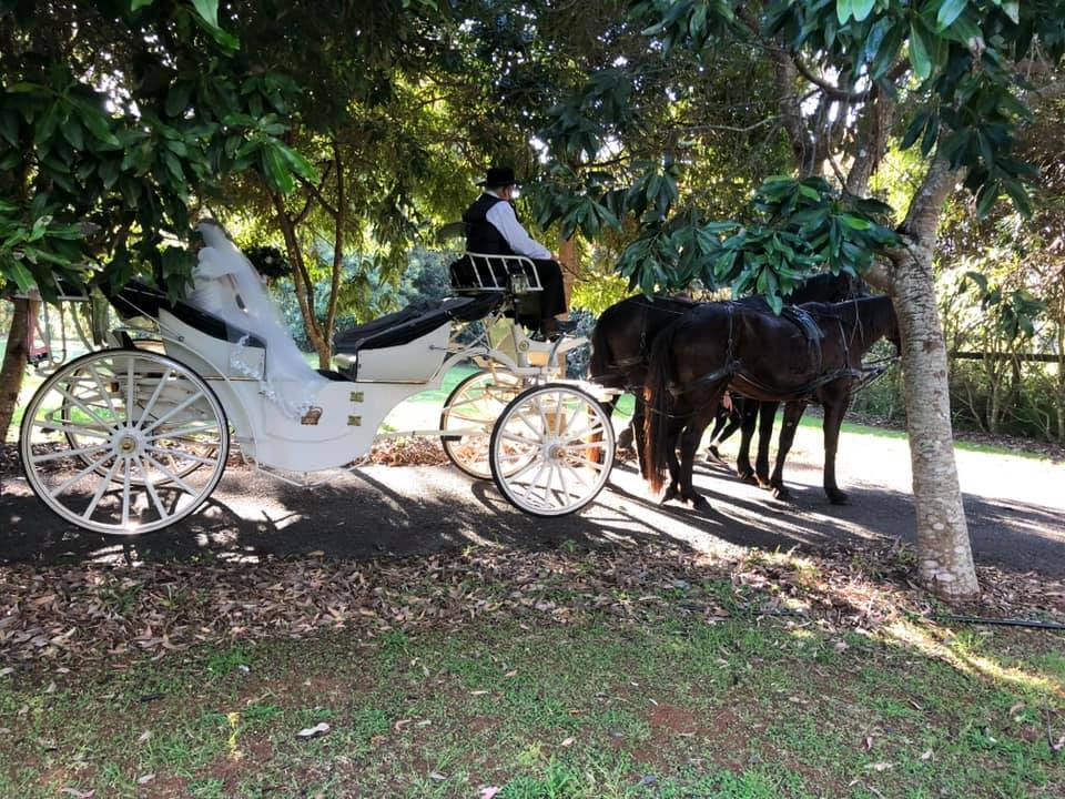 Champagne Wedding Carriages Champagne