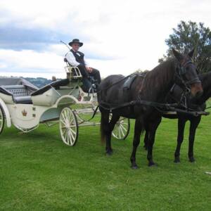 Champagne Wedding Carriages Champagne