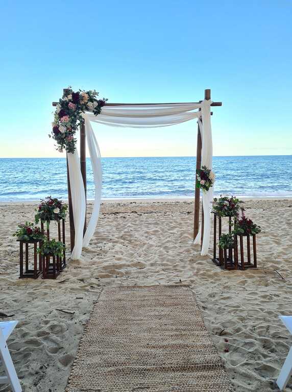 Palm Cove Weddings