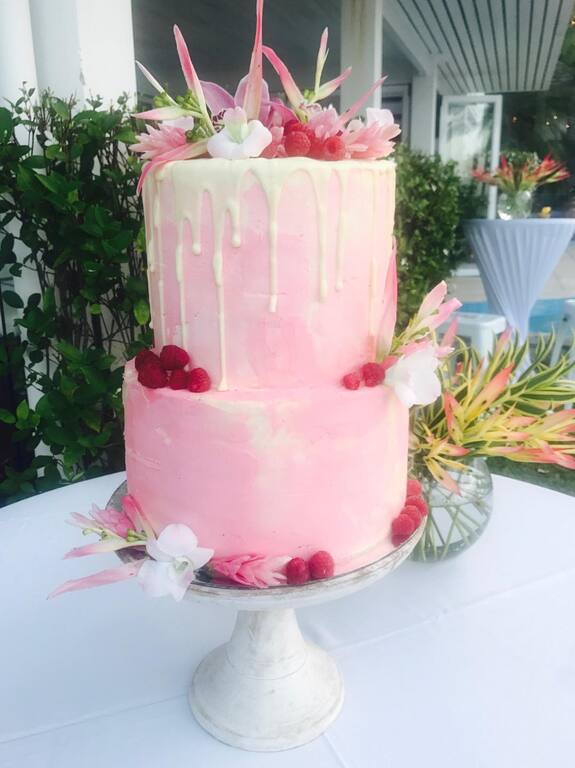 The Hungry Hummingbird