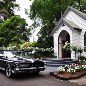 Bella Limousine Hire